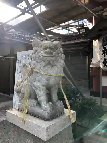 尾浜八幡神社の狛犬
