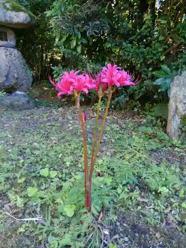 宝蔵院(東京都)