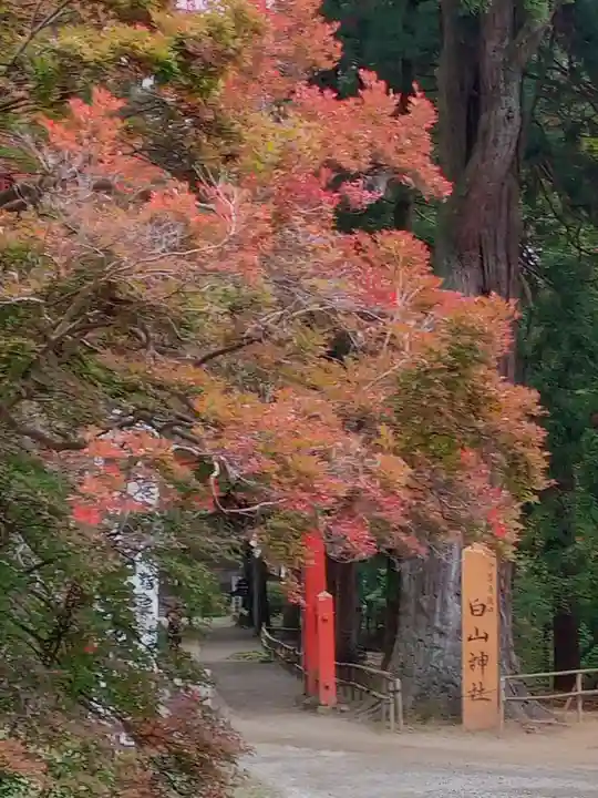 中尊寺(岩手県)