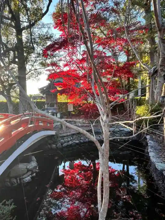 宝来山神社(和歌山県)