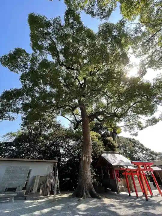 天疫神社の自然