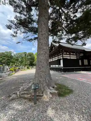 安養寺(東京都)
