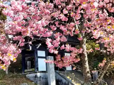 楽法寺(雨引観音)(茨城県)