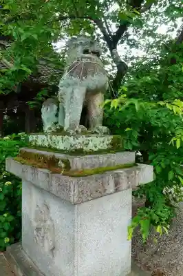 鴨都波神社の狛犬