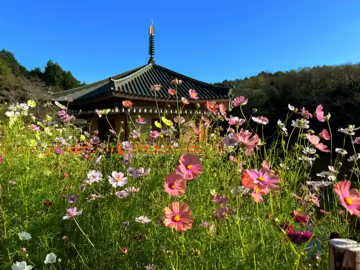 安倍文殊院 (奈良県)