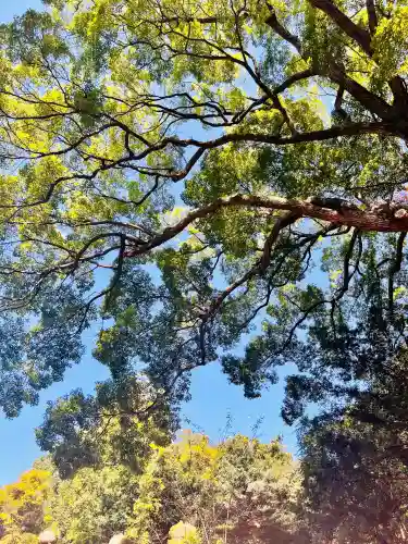 夫婦大國社（春日大社末社）(奈良県)