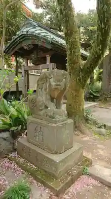 高幡不動尊 金剛寺の狛犬