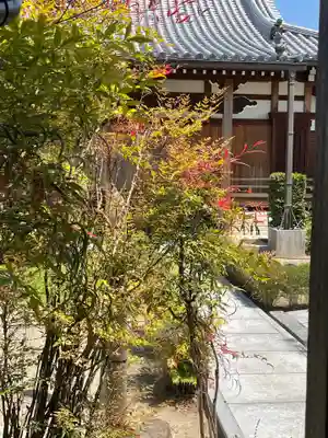 明光寺の本殿・本堂