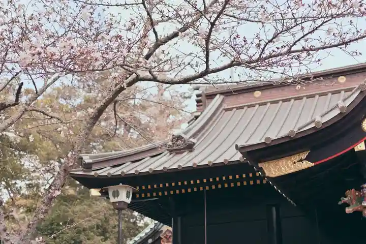 玉前神社の自然