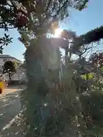 良仙寺(兵庫県)