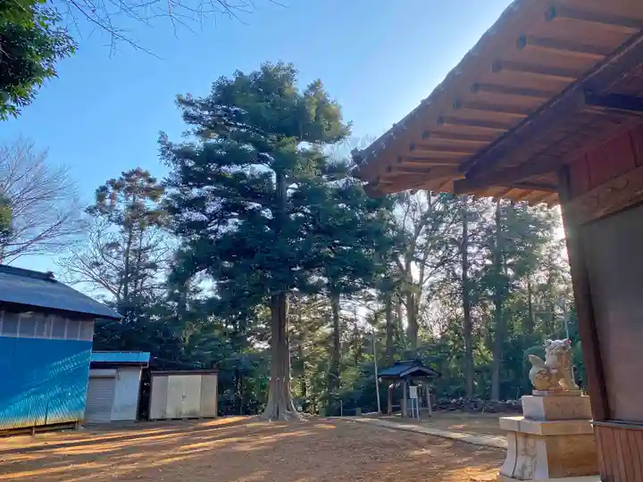 吉田杉山神社のその他建物