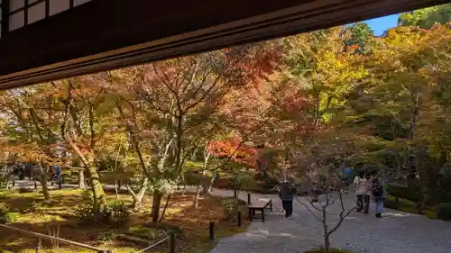 圓光寺(京都府)