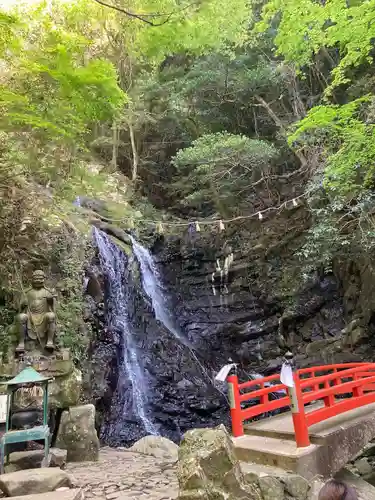 大本山七宝瀧寺の景色