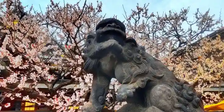 湯島天満宮(東京都)