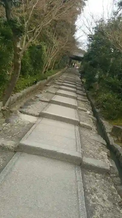 高台寺(高台寿聖禅寺・高臺寺)(京都府)