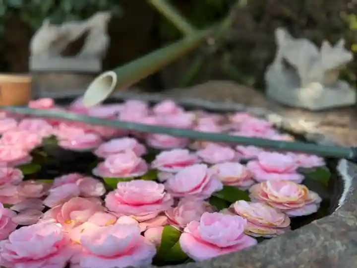 東京羽田 穴守稲荷神社の{uncategorized: "未分類", other: "その他", undefined: "問題あり", building: "その他建物", grave: "お墓", sacred_gate: "鳥居", guardian: "狛犬", statue: "像", buddha: "仏像", history: "歴史", nature: "自然", garden: "庭園", animal: "動物", pagoda: "塔", temizu: "手水舎", mountain_gate: "山門・神門", sanctuary: "本殿・本堂", subordinate: "末社・摂社", art: "芸術", scenery: "景色", jizo: "地蔵", ema: "絵馬", goshuin: "御朱印", omikuji: "おみくじ", items: "授与品その他", amulet: "お守り", goshuincho: "御朱印帳", eats: "食事", festival: "お祭り", votive_dance: "神楽", shichigosan: "七五三参", wedding: "結婚式", experience: "体験その他", initially: "初詣", around: "周辺", anti_infection: "感染症対策"}