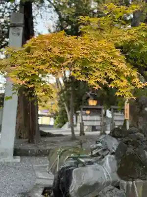 諏訪大社下社秋宮(長野県)