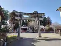 稗田野神社(薭田野神社)(京都府)