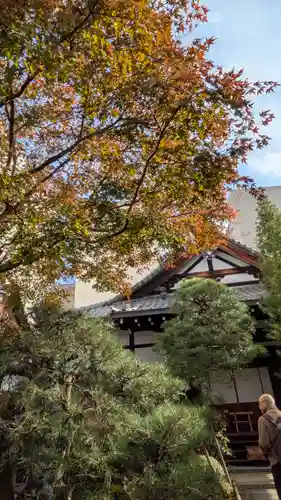 宝蔵寺(京都府)