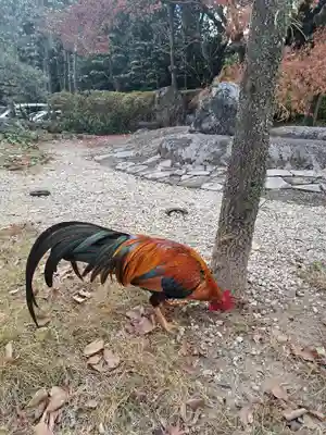 熱田神宮(愛知県)