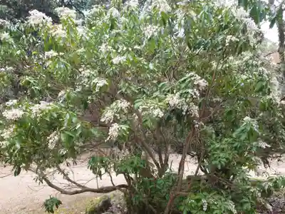 四宮神社(広島県)