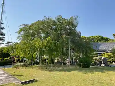 正眼寺(愛知県)