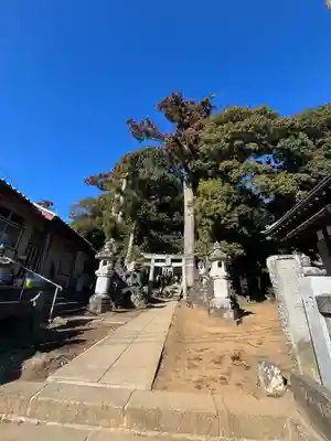 大日神社(千葉県)