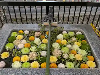 高円寺氷川神社(東京都)