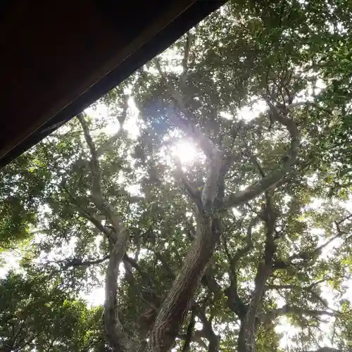 塩釜神社の自然