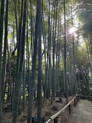 高台寺（高台寿聖禅寺・高臺寺）(京都府)