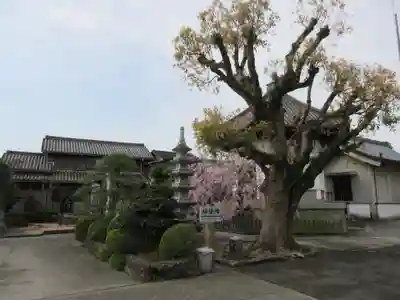 井戸寺(徳島県)