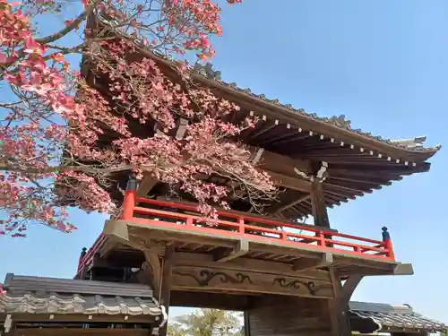 高正寺(埼玉県)