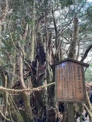 幣立神宮(熊本県)