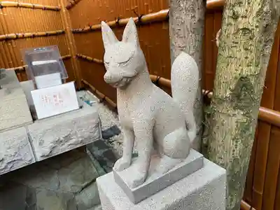 代沢稲荷の狛犬