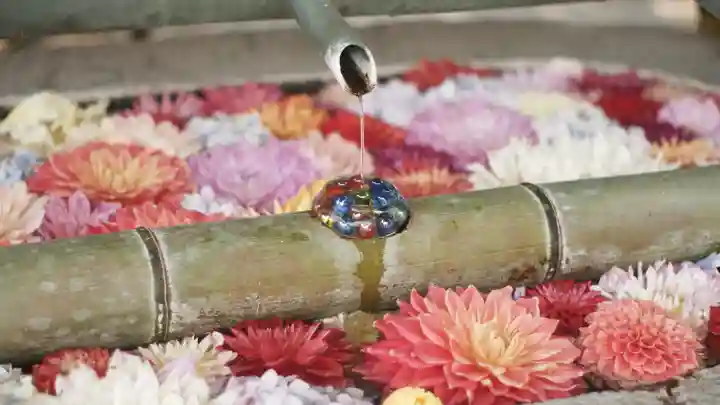 岡寺(龍蓋寺)(奈良県)