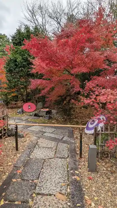 勝林寺(京都府)
