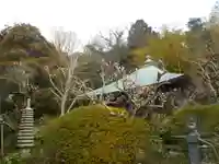 浄光明寺の自然