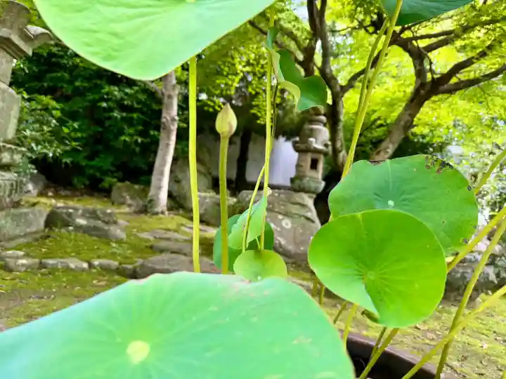 伊勢の国 四天王寺(三重県)