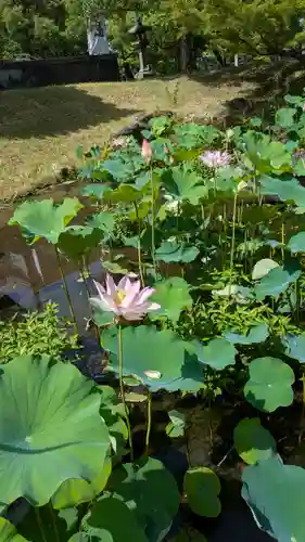  智積院(京都府)