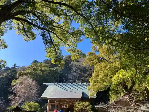 安房神社(千葉県)