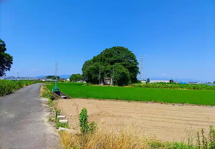 富士社(込野富士社)のその他建物