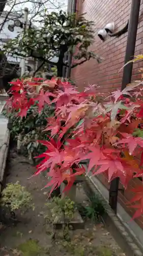 墨染寺（桜寺）(京都府)