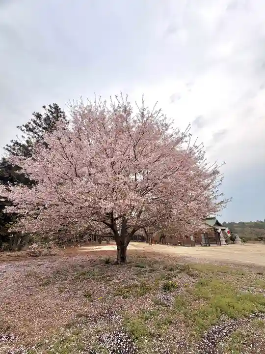 鹿嶋三嶋神社(茨城県)