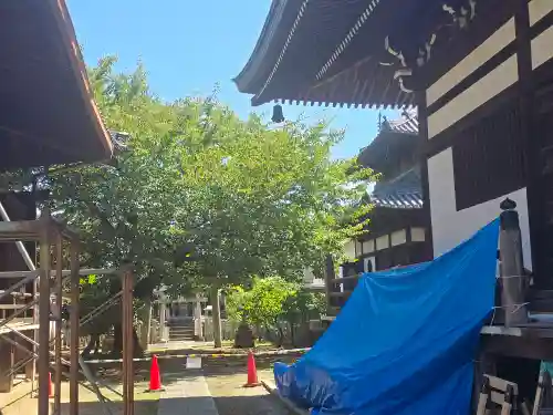 妙顯寺（妙顕寺）(京都府)