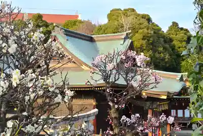 赤羽八幡神社(東京都)