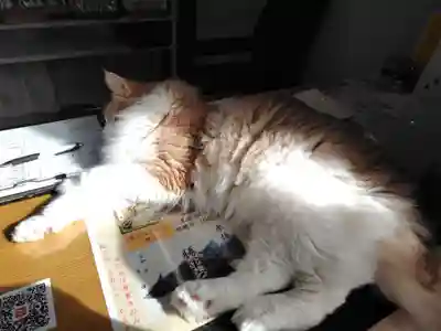 駒込妙義神社(東京都)