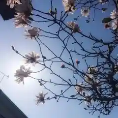 神明社（国府宮神明社）の自然