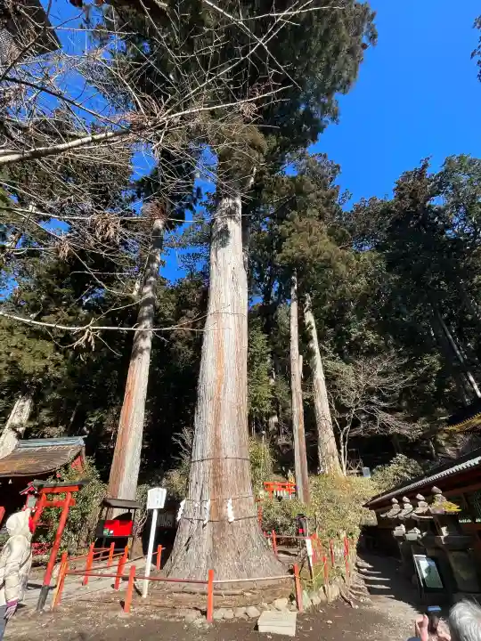 日光二荒山神社の{uncategorized: "未分類", other: "その他", undefined: "問題あり", building: "その他建物", grave: "お墓", sacred_gate: "鳥居", guardian: "狛犬", statue: "像", buddha: "仏像", history: "歴史", nature: "自然", garden: "庭園", animal: "動物", pagoda: "塔", temizu: "手水舎", mountain_gate: "山門・神門", sanctuary: "本殿・本堂", subordinate: "末社・摂社", art: "芸術", scenery: "景色", jizo: "地蔵", ema: "絵馬", goshuin: "御朱印", omikuji: "おみくじ", items: "授与品その他", amulet: "お守り", goshuincho: "御朱印帳", eats: "食事", festival: "お祭り", votive_dance: "神楽", shichigosan: "七五三参", wedding: "結婚式", experience: "体験その他", initially: "初詣", around: "周辺", anti_infection: "感染症対策"}