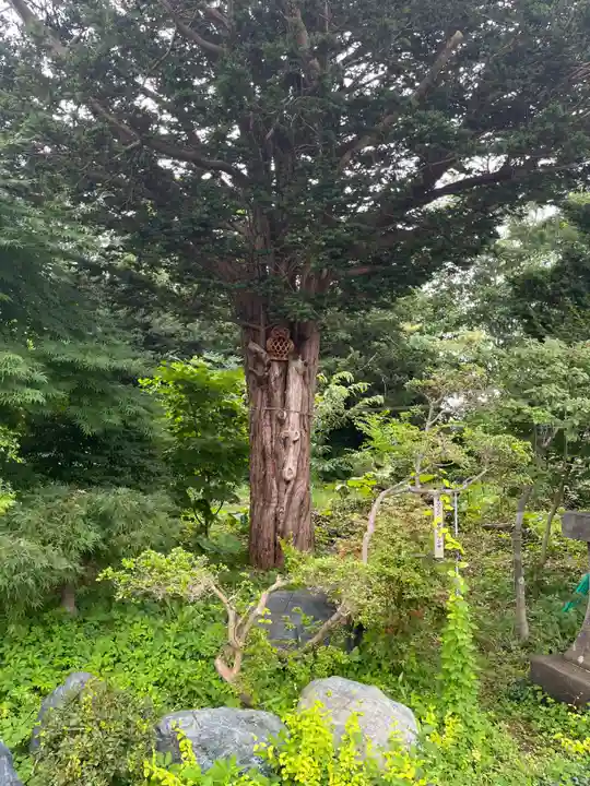 飯生神社(北海道)