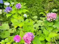 伊勢山皇大神宮(神奈川県)